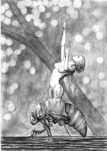 Schwarz-weiße Bleistiftzeichnung einer weiblichen Elfe, die aus dem Rücken eines Insekts schlüpft.