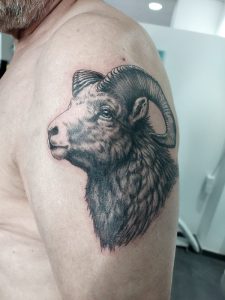 Oberarm-Tattoo, Widder in Black and grey.