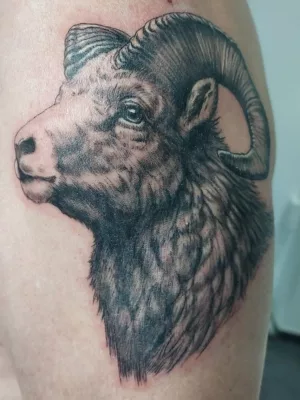 Black-and-Grey-Tattoo-Widder-Oberarm Eine Nahaufnahme eines Oberarms mit einem Widder als Tattoo im realistischen Black-and-Grey-Stil.