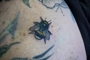 Nahaufnahme eines farbigen kleinen Hummel-Tattoos.