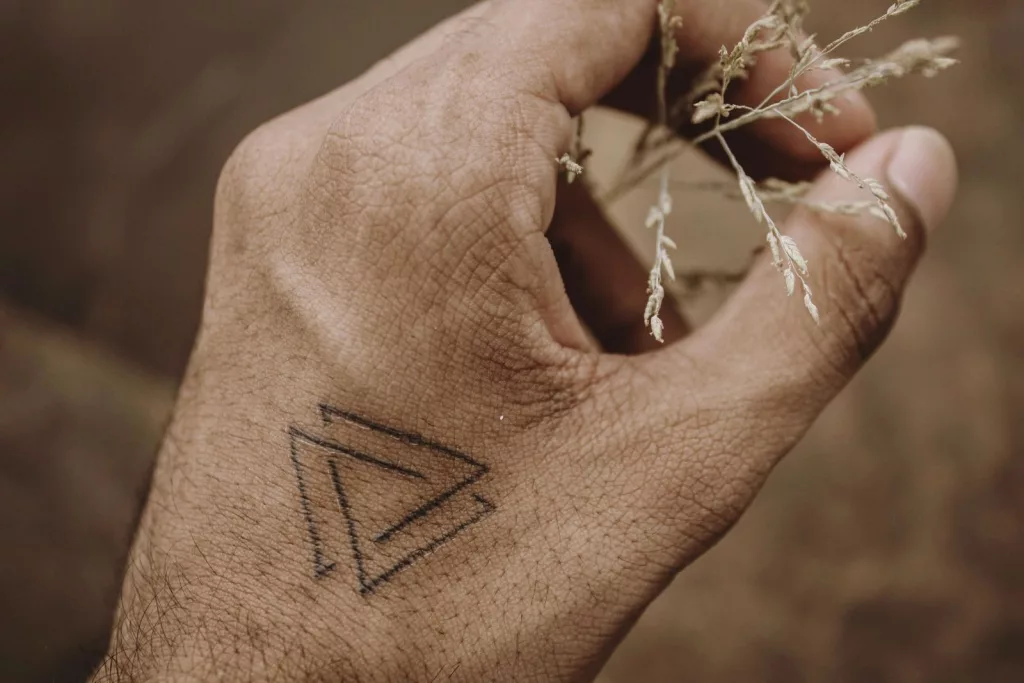 A detailed view of a hand with a triangle tattoo holding delicate dried plant stems.